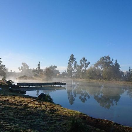 Cabanas Tapalpa Sierra Del Tecuan, Cabana Lince Esterno foto