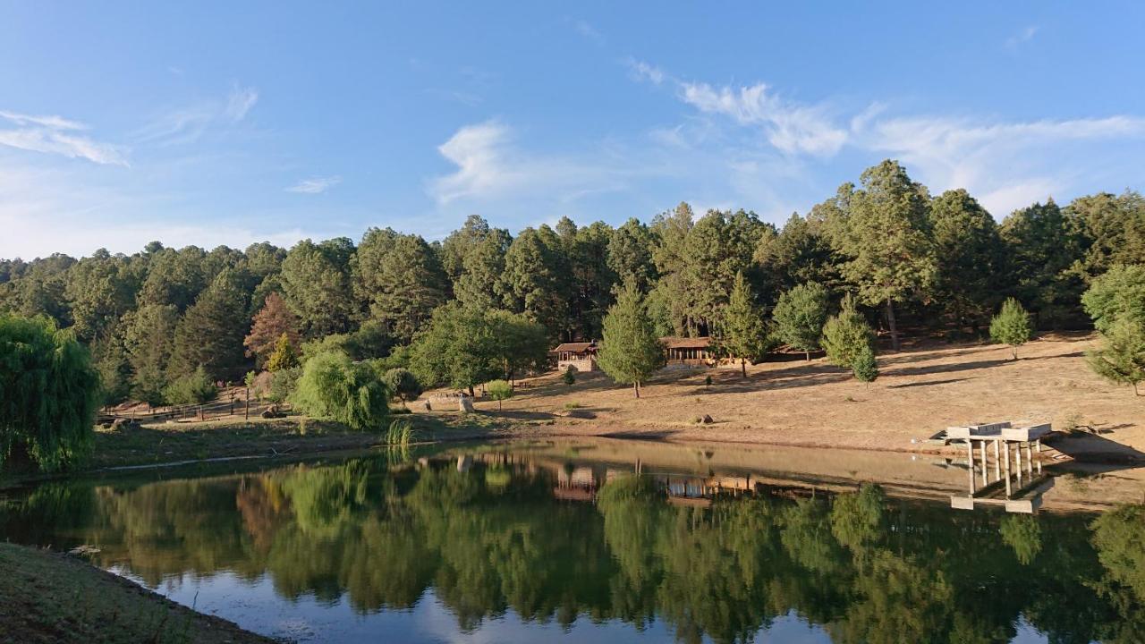 Cabanas Tapalpa Sierra Del Tecuan, Cabana Lince Esterno foto