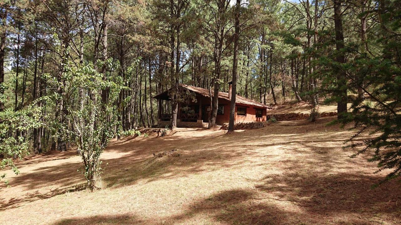 Cabanas Tapalpa Sierra Del Tecuan, Cabana Lince Esterno foto